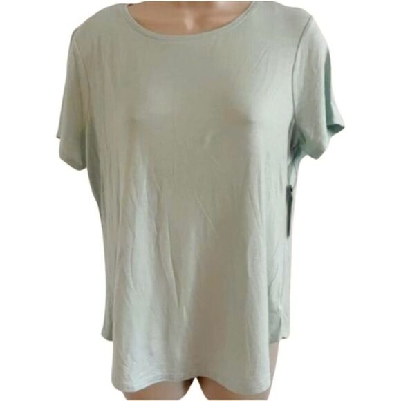 NWT The Limited Short Sleeve Shirt Women’s Size Medium Light Sea Foam Green Offi - Picture 1 of 8